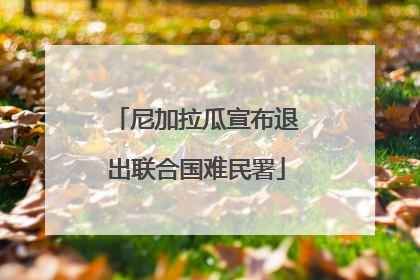 尼加拉瓜宣布退出联合国难民署