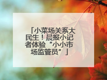 小菜场关系大民生！晨报小记者体验“小小市场监管员”