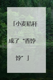 小麦秸秆成了“香饽饽”