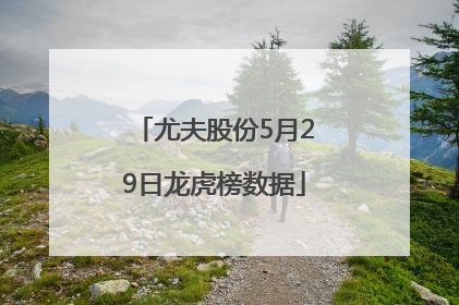 尤夫股份5月29日龙虎榜数据