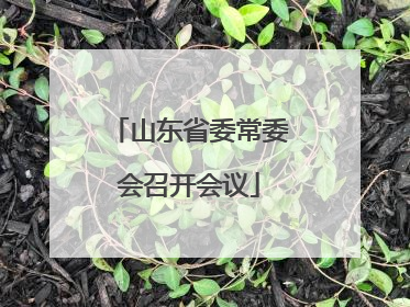 山东省委常委会召开会议