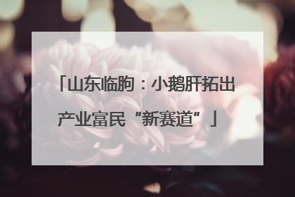 山东临朐：小鹅肝拓出产业富民“新赛道”