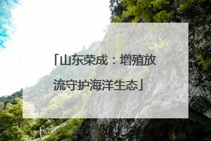 山东荣成：增殖放流守护海洋生态