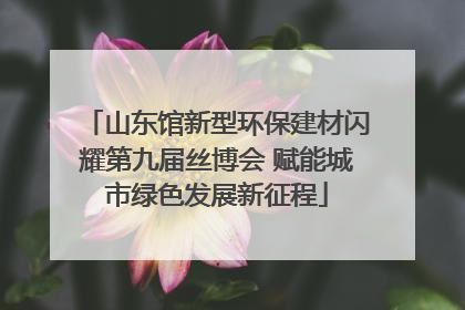 山东馆新型环保建材闪耀第九届丝博会 赋能城市绿色发展新征程