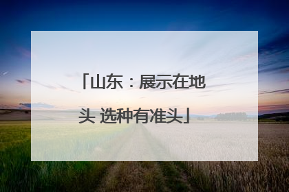 山东：展示在地头 选种有准头