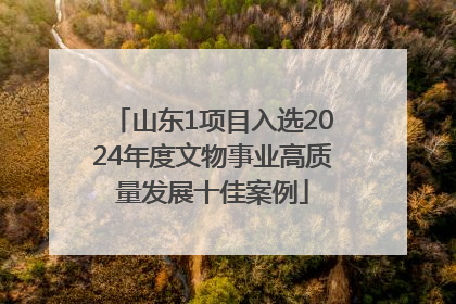 山东1项目入选2024年度文物事业高质量发展十佳案例