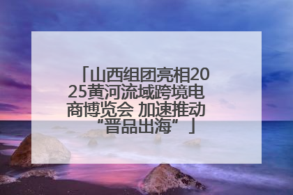 山西组团亮相2025黄河流域跨境电商博览会 加速推动“晋品出海”