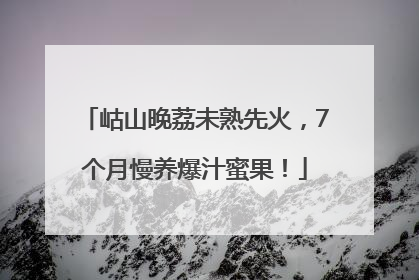 岵山晚荔未熟先火，7个月慢养爆汁蜜果！