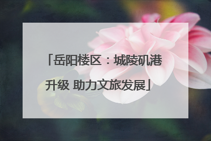 岳阳楼区：城陵矶港升级 助力文旅发展