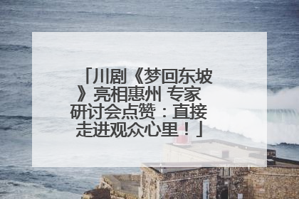 川剧《梦回东坡》亮相惠州 专家研讨会点赞：直接走进观众心里！