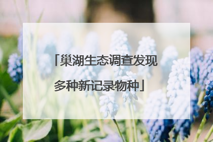 巢湖生态调查发现多种新记录物种