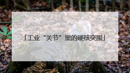 工业“关节”里的硬核突围
