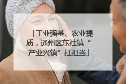 工业强基、农业提质，通州区东社镇“产业兴镇”扛担当