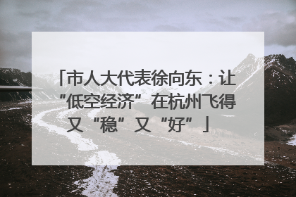 市人大代表徐向东：让“低空经济”在杭州飞得又“稳”又“好”