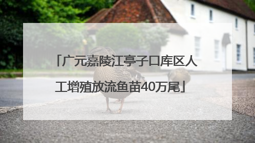 广元嘉陵江亭子口库区人工增殖放流鱼苗40万尾