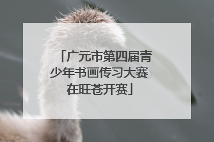 广元市第四届青少年书画传习大赛在旺苍开赛