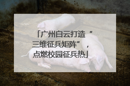 广州白云打造“三维征兵矩阵”，点燃校园征兵热