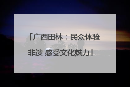 广西田林：民众体验非遗 感受文化魅力