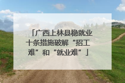 广西上林县稳就业十条措施破解“招工难”和“就业难”