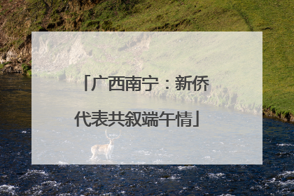 广西南宁：新侨代表共叙端午情