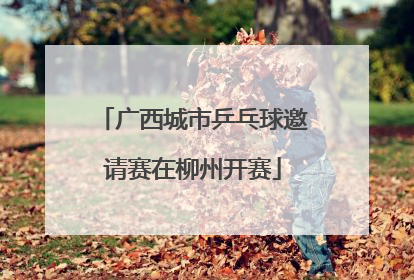 广西城市乒乓球邀请赛在柳州开赛