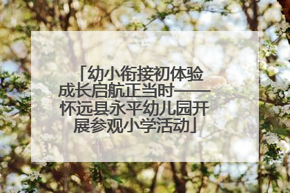 幼小衔接初体验 成长启航正当时——怀远县永平幼儿园开展参观小学活动