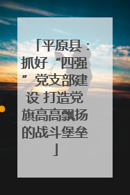 平原县：抓好“四强”党支部建设 打造党旗高高飘扬的战斗堡垒