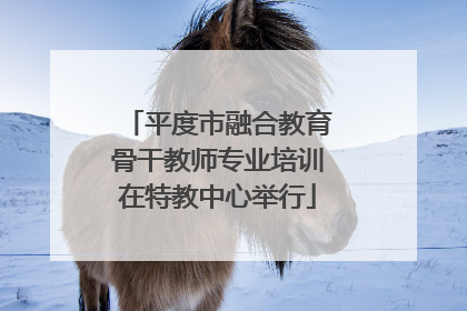 平度市融合教育骨干教师专业培训在特教中心举行