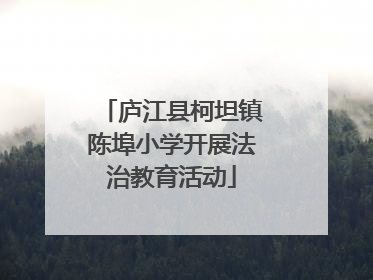 庐江县柯坦镇陈埠小学开展法治教育活动