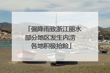 强降雨致浙江丽水部分地区发生内涝 各地积极抢险