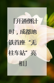 开通倒计时，成都地铁首座“无柱车站”亮相