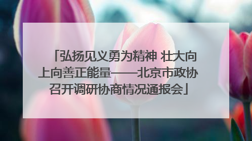 弘扬见义勇为精神 壮大向上向善正能量——北京市政协召开调研协商情况通报会