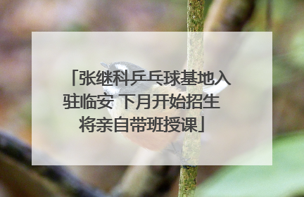 张继科乒乓球基地入驻临安 下月开始招生将亲自带班授课