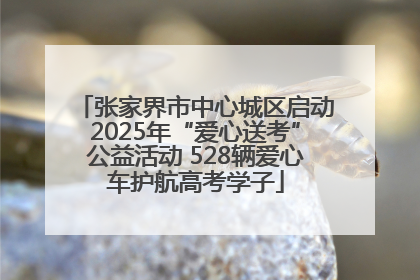 张家界市中心城区启动2025年“爱心送考”公益活动 528辆爱心车护航高考学子