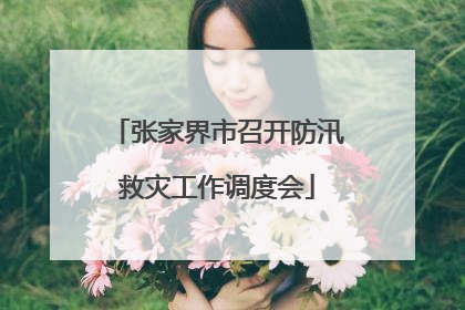 张家界市召开防汛救灾工作调度会
