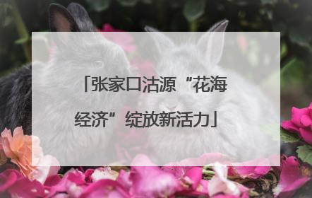 张家口沽源“花海经济”绽放新活力