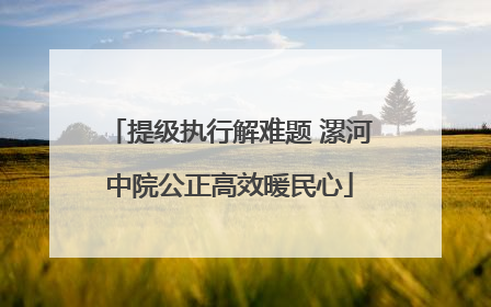 提级执行解难题 漯河中院公正高效暖民心