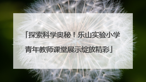探索科学奥秘！乐山实验小学青年教师课堂展示绽放精彩