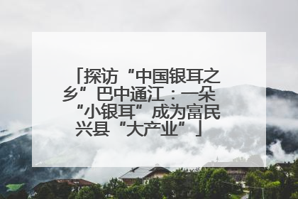 探访“中国银耳之乡”巴中通江：一朵“小银耳”成为富民兴县“大产业”