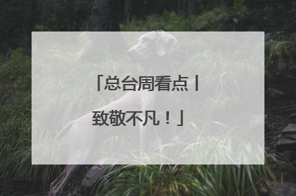总台周看点丨致敬不凡！