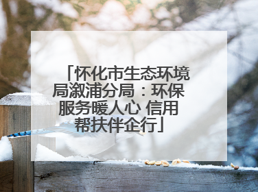 怀化市生态环境局溆浦分局：环保服务暖人心 信用帮扶伴企行