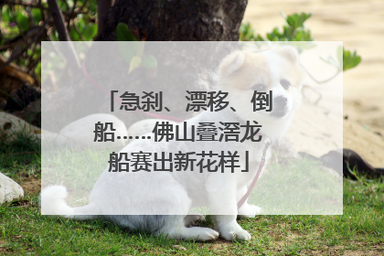 急刹、漂移、倒船……佛山叠滘龙船赛出新花样