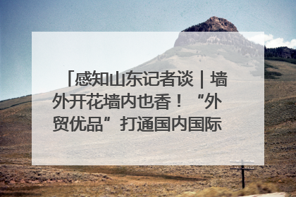 感知山东记者谈｜墙外开花墙内也香！“外贸优品”打通国内国际市场“旋转门”