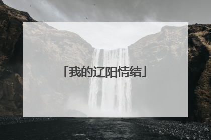 我的辽阳情结