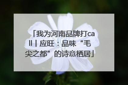 我为河南品牌打call丨应旺：品味“毛尖之都”的诗意栖居