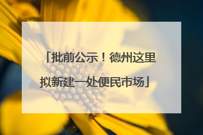 批前公示！德州这里拟新建一处便民市场