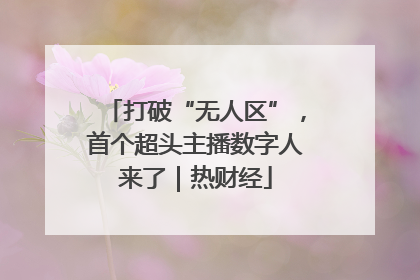 打破“无人区”，首个超头主播数字人来了｜热财经