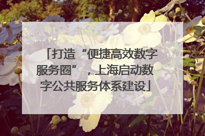 打造“便捷高效数字服务圈”，上海启动数字公共服务体系建设