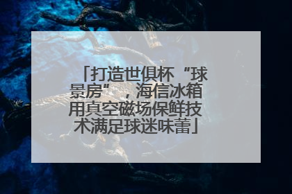 打造世俱杯“球景房”，海信冰箱用真空磁场保鲜技术满足球迷味蕾