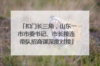 扣门长三角，山东一市市委书记、市长接连带队招商谋深度对接
